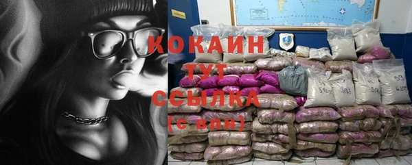 хмурый Белокуриха