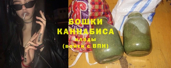 хмурый Белокуриха